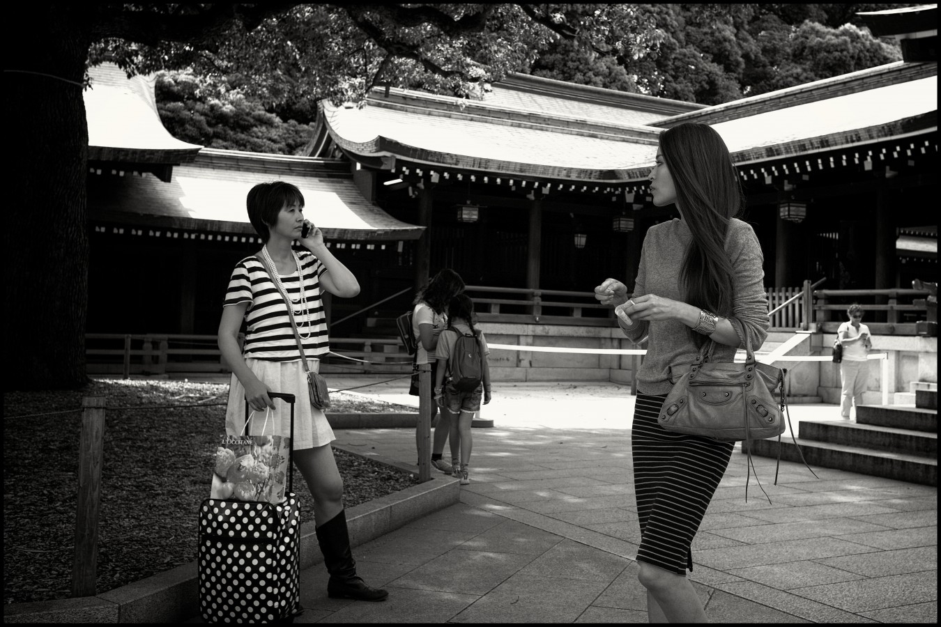 Eye contact, Meiji-Jingu Shrine